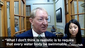 42K views · 513 reactions | Should the Government aim higher when it comes to water quality? www.newshub.co.nz/politics/petition-hopes-to-improve-govt-aims-on-water-2016032914?ref=newshubFB | Newshub | Facebook