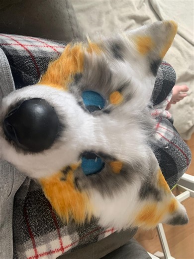 Australian Shepherd Alterhuman Mask - Etsy