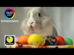 Easter Bunny Screensaver - Easter - 10 Hours - 4K - OLED Safe - No Burn-in
