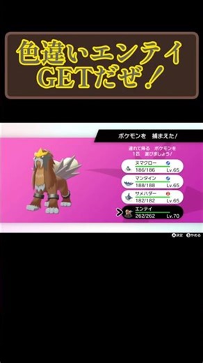 色違いエンテイGETだぜ！ #ポケモン #ポケモン剣盾 #ポケモン色違い #ポケモン色違い厳選 #エンテイ #色違い