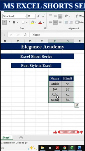 Day-10 | How to Change Font Style in Excel | Part-5🔥#excel #msexcel #eleganceacademy #excelformula