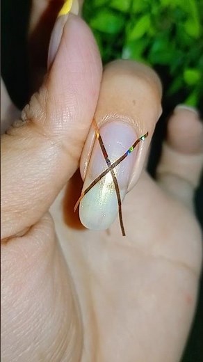 Easy and simple Nailart at Home 💅#shorts #nails #nailart #trending #simplenails