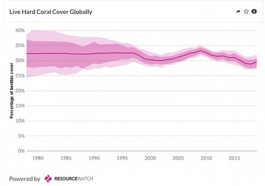 What must be done to protect coral reefs? Experts explain
