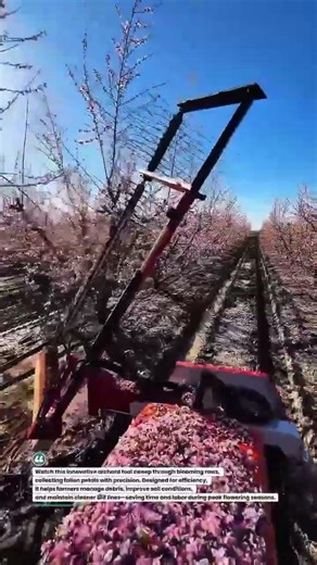 Blossom Collector Machine Boosts Orchard Efficiency 🌸🚜 #AgriTech #Farming #Harvest