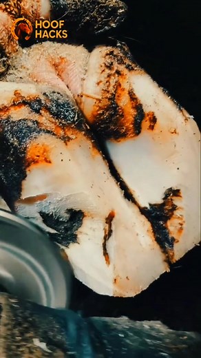 Hoof blocks save sore claws. They shift pressure off the injury. Simple tools make big differences #farmreels #HoofCareUSA #HoofCare #HoofCleaning #FarmLife #AnimalCare #CowCare #GoatCare #HoofTrim #VetLife #farmtips #HoofHealth #FarrierLife #EquineCare #FarmTok #UKFarm | Hoof hacks