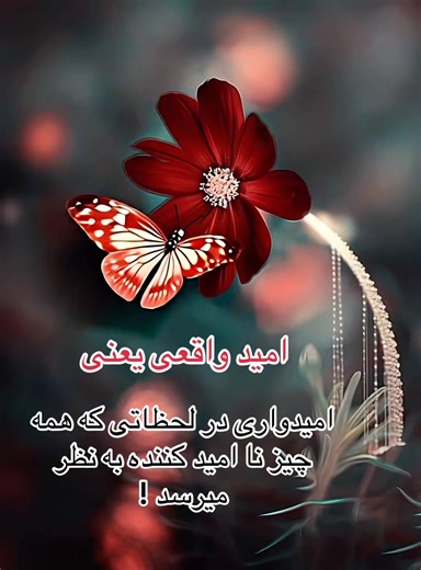 Red flower 🌹 (@red_flower_96)’s videos with original sound - miss mirza