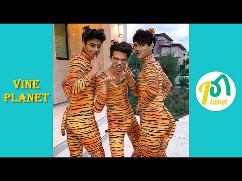 New Alan Stokes TikTok Videos | Best Compilation - Vine Planet✔