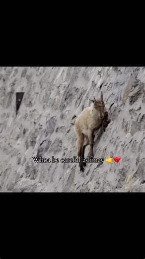 #fyp #viral #2slimey #niche #ug | 2 smiley