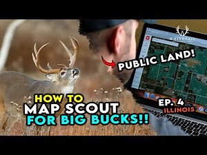Find BIG BUCKS on ILLINOIS PUBLIC LAND! Do this!!!