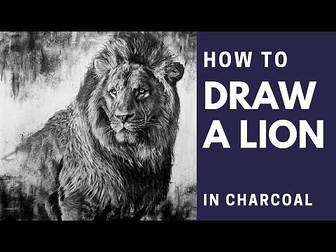 How to Draw a Lion | Charcoal Drawing Tips
