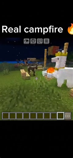 Minecraft Real Campfire Build (Why is this Llama wearing a crown?!)