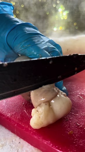 QAZAQ.samsa on TikTok