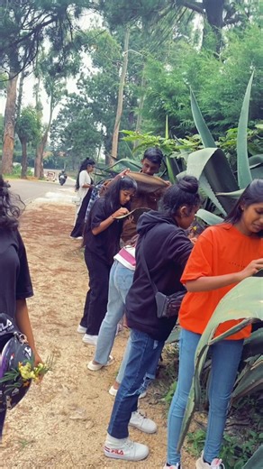 ashawari_official on TikTok