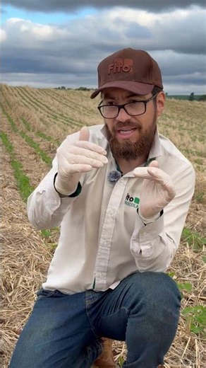Trichoderma, vc usa biológicos no sulco? #agro