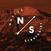 Native Strategies, LLC | LinkedIn