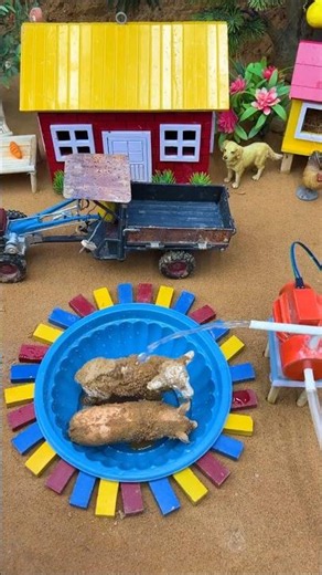 DIY Mini Tractor Builds an Animal Wash Station with Water Pump! #diy #tractor #shorts