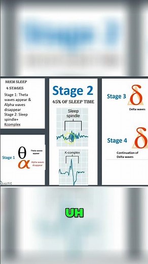 Sleep Cycles: REM vs NREM in 2 minutes #shorts