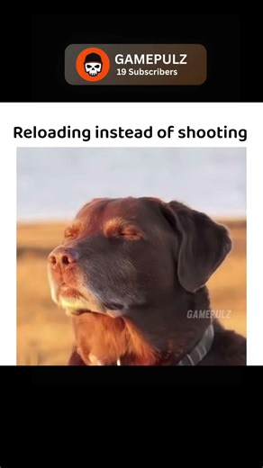 Reloading... #memes MEMES | GAMING