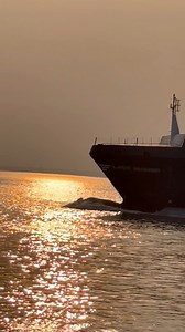 Large Container Ship #viralreelsfb #reels2024 #ship #shortsvideos | Mister Star Vlogs