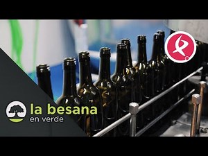 El viñedo busca salidas | La Besana en Verde