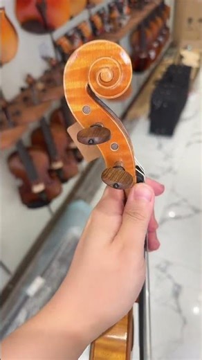 Fine Violin Collection (Sold) #fiddlover #violin #violintune #music #violinist