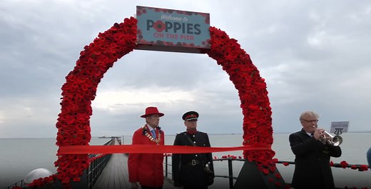 Remembrance Day: Britain's largest poppy installation unveiled as over 110,000 put on display