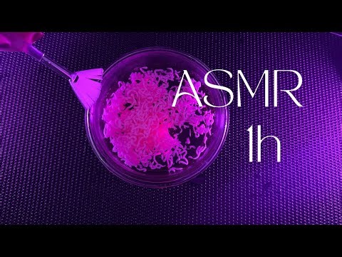 ✨1 Hour of Relaxing ASMR Sounds for Deep Sleep 😴 💤