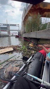 389K views · 1.3K reactions | Đang câu ngon bị rác nó đè!!! #duyfishing #toro #camdf #caucasong #caucasongsaigon #camcauca duyfishing.com | Đồ Câu Duy Fishing | Facebook