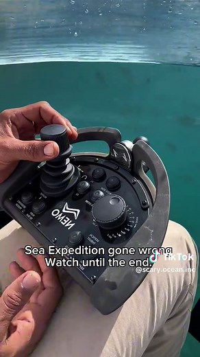 Mini-Submarine Encounter with Deep Sea Creatures