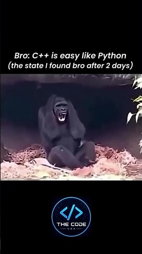 "Bro: C++ is easy like Python(the state I found bro after 2 days)" #cod