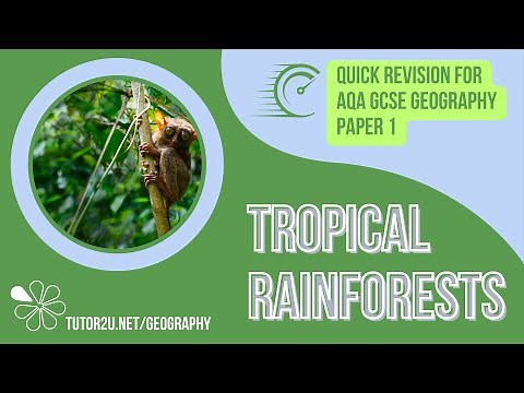 Revise Tropical Rainforests in 35 Minutes! | Quick Revision for GCSE Geography