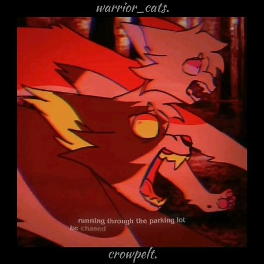 ❗️cw: blood/death/gore❗️『 Swiftpaw × Brightpaw (Brightheart) 』 #warriorcats #swiftpaw #brightheart