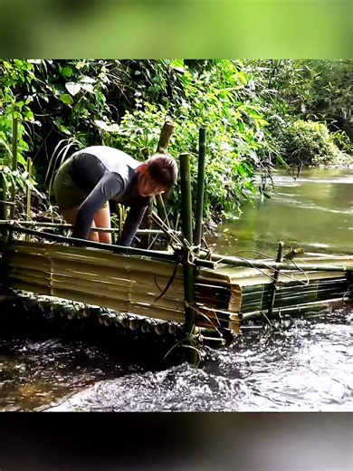 From Bamboo to Big Catch: Young Woman’s Primitive Fishing Success #fish #fishing #fishinglife #catchfish #fishtrap #outdoor #survival #fyp