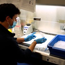 Video: Molecular and Immunologic Techniques in a Genetically Engineered Mouse Model of Gastrointestinal Stromal Tumor