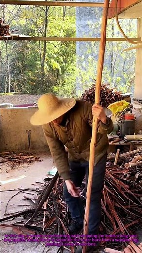 Traditional Bark Stripping: Easy Way to Remove Tree Bark for Rural Craft Materials