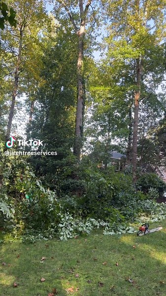 Equipo en Alpharetta!!