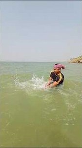 How many big fish were caught using chicken runs? #fishing #fishinglife