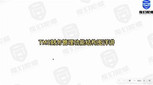 TMS财务管理功能结构图详讲