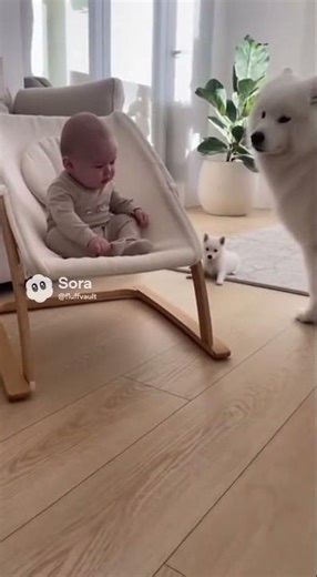 Bloopers Puppy Gets Caught by Mom 😂💥