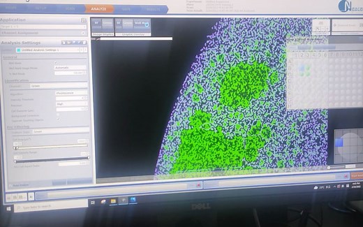 celigo细胞成像仪-多通道细胞成像分析