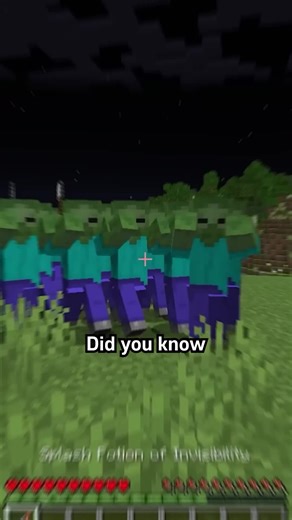 Prism Block on Instagram: "Minecraft Mobs Can See You Invisible #minecraft #minecraftfacts"