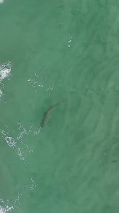 621K views · 4.3K reactions | I’m feeling so proud that all my hard...