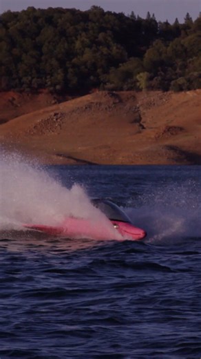 This robo dolphin feels unreal