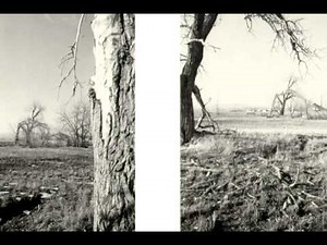 Red House Painters - Down Through