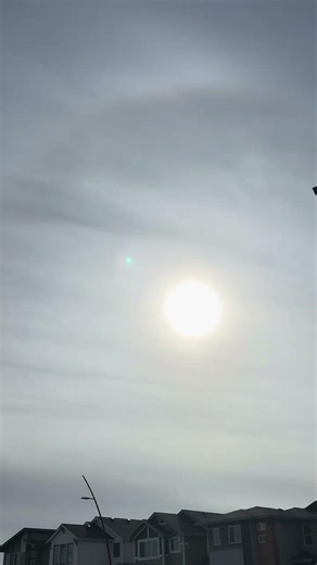 #nobatidao #CanadaWeather #WinterStorm2026 #FYP2026 #OnlyInCanada #SnowDay #ViralReels