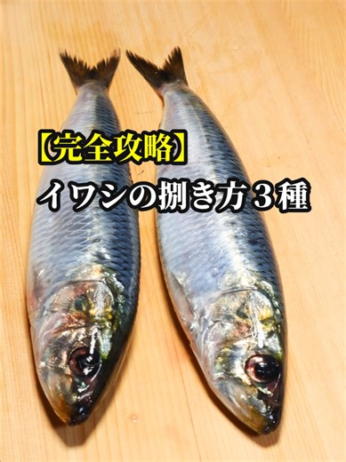 イワシの捌き方3種類を徹底比較！