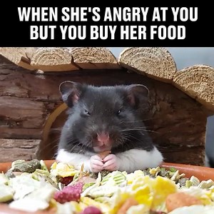 That's literally me! Credit: EatingWell I SHAPE | Minions Fitness