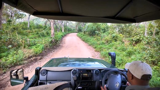 #Advertisement MAJETE WILDLIFE RESERVE GAME DRIVE Adventure awaits in the wild heart of Malawi! From elephants and lions to elands and impalas, every turn is a new thrill. Majete Wildlife Reserve – where the wild comes alive. Call: 265 999 521 741 | Email: majete@africanparks.org | Zodiak Online