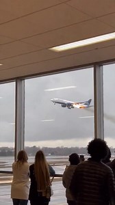 841K views · 3.9K reactions | Bird Strike Chaos | Mony Reach | Facebook