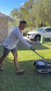 As the saying goes, keep your enemies nearby and your friends at a distance. | Paulie